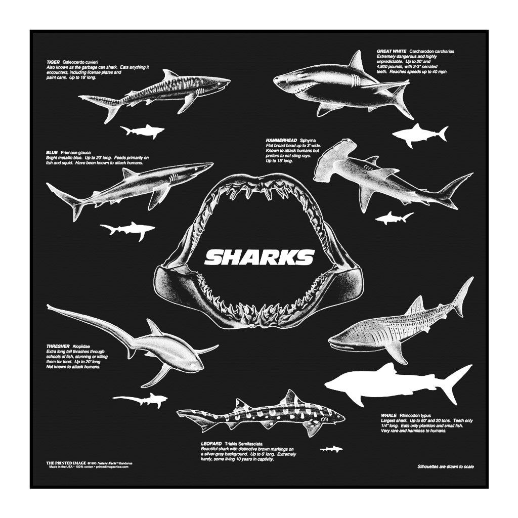 Sharks Bandana