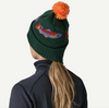 Patagonia Powder Town Beanie