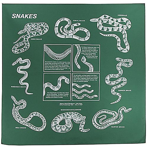 Snakes Bandana