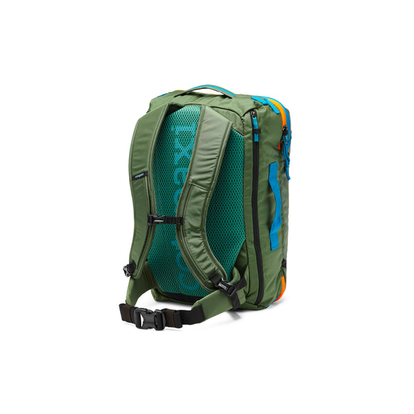 Spruce_grande.jpg?v=1703264344 Spruce_grande.jpg?v=1703264344