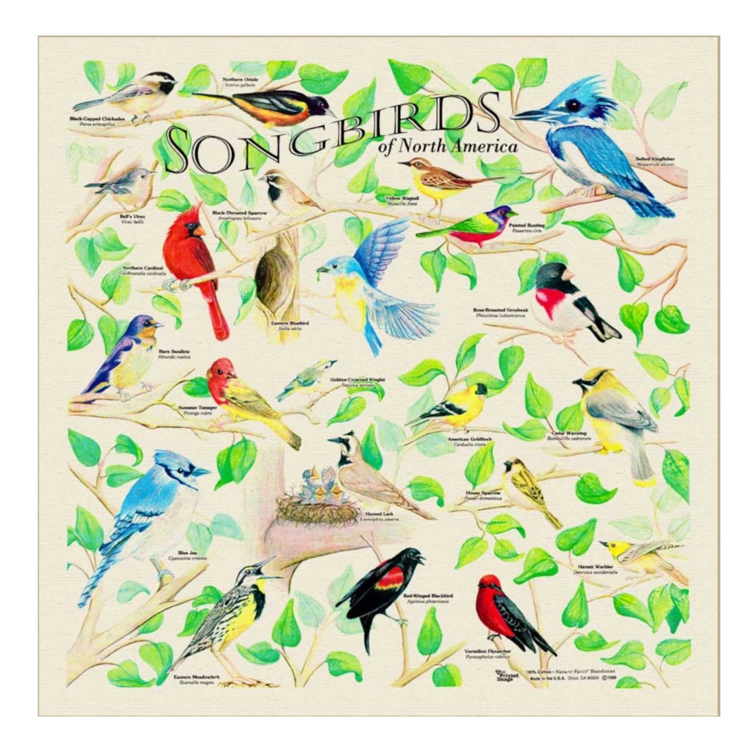 Songbirds Bandana