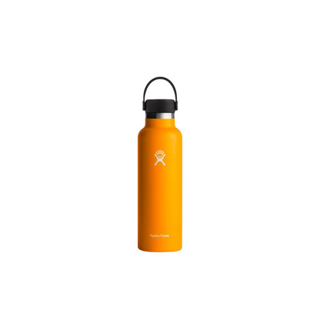 Hydro Flask 21 oz, Standard Mouth, Dew