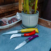Stainless & Carbon Steel Garden Knife Trio - 3 Colors