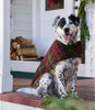 L.L. Bean Reversible Field Coat for Dogs
