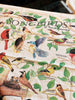 Songbirds Bandana