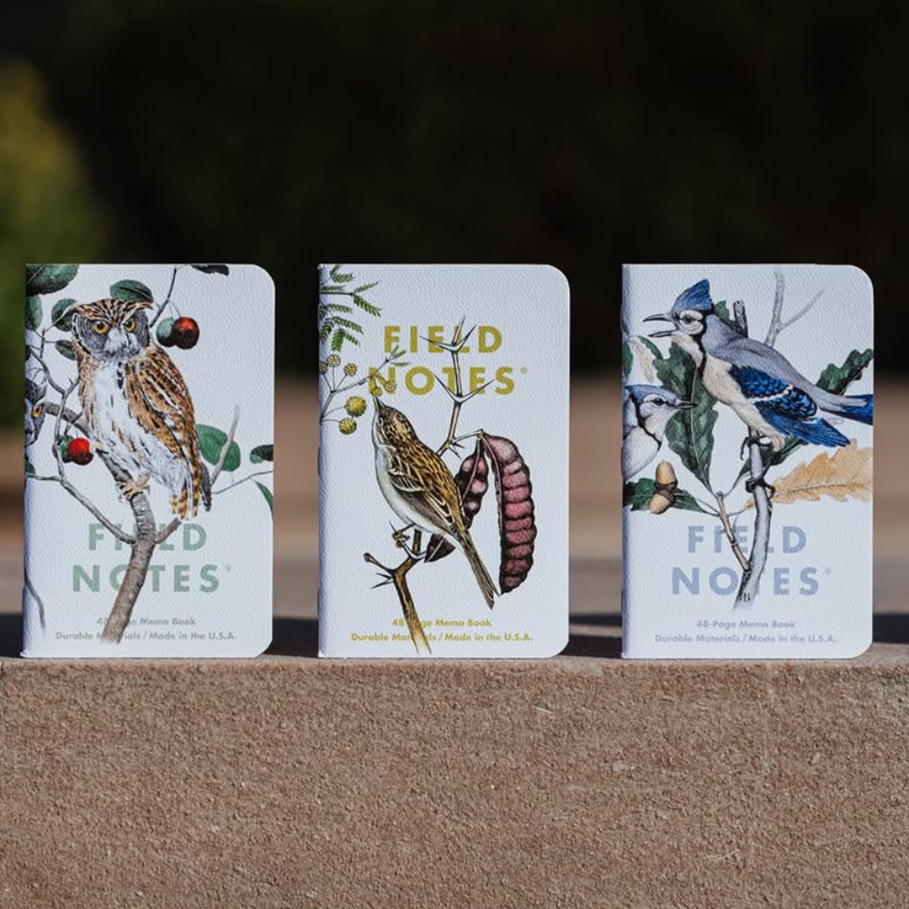 Field Notes For Birds Examples Field Notes Birds & Trees of North America – Old Souls NY