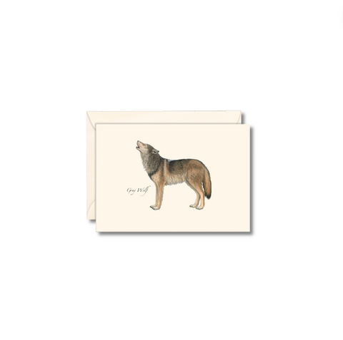 Animal Note Card Packs, Gray Wolf