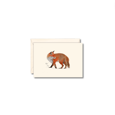 Animal Note Card Packs, Red Fox