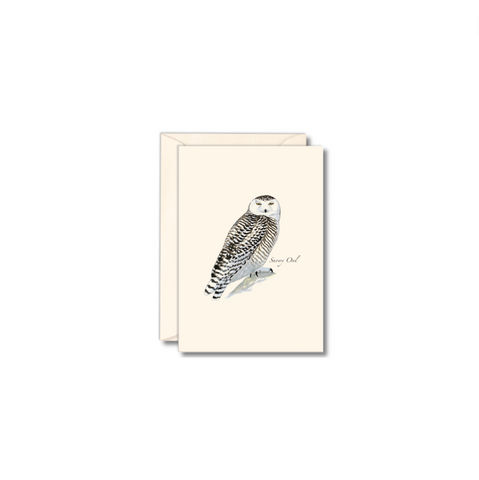 Animal Note Card Packs, Snowy Owl