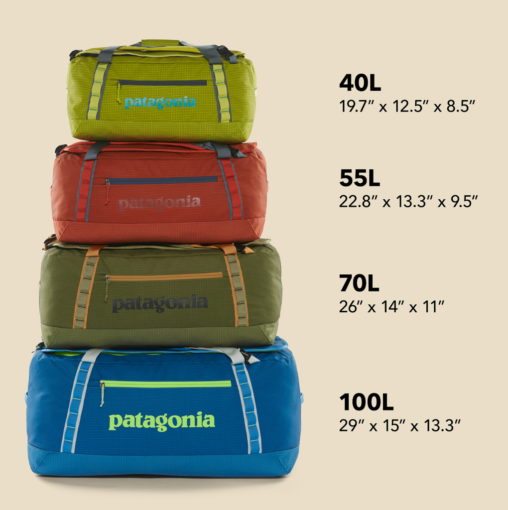 Patagonia 40L Black Hole Duffel Smolder Blue/Amanita Red