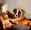 L.L. Bean M's Wicked Good Moccasin