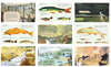 The Fly Fishing Book: An Artful Guide to Angling