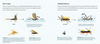The Fly Fishing Book: An Artful Guide to Angling