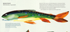 The Fly Fishing Book: An Artful Guide to Angling