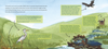 The Fly Fishing Book: An Artful Guide to Angling