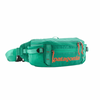 Patagonia Black Hole Waist Pack 5L