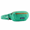 Patagonia Terravia Mini Hip Pack