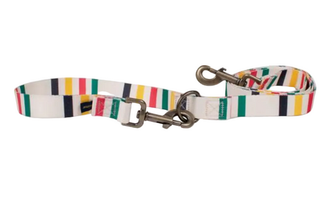 Pendleton Pet National Park Adventure Leash