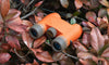 Nocs Provisions - Standard Issue 8x25 Waterproof Binoculars