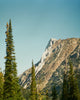 Juniper Ridge Wilderness Cologne - Mountain