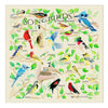 Songbirds Bandana