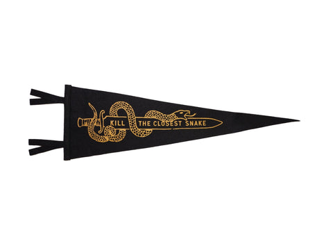 Oxford Pennant: Kill the Closest Snake